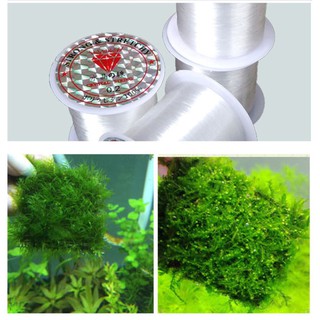Cước siêu mảnh chuyên dụng buộc rêu vào lũa