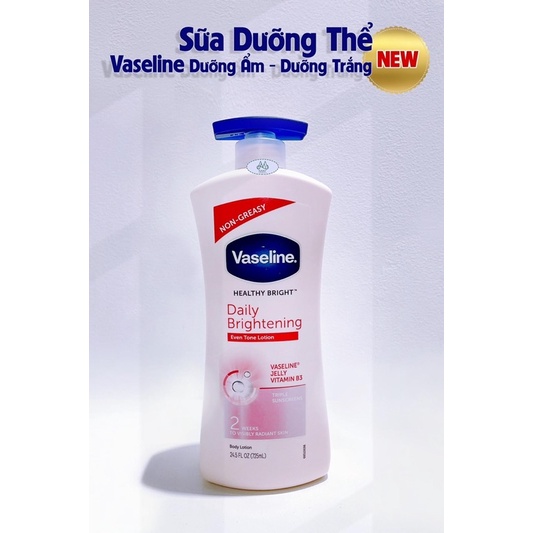 DƯỠNG THỂ VASELINE HỒNG 725ml (Mẫu Mới & Mẫu Cũ) | BigBuy360 - bigbuy360.vn