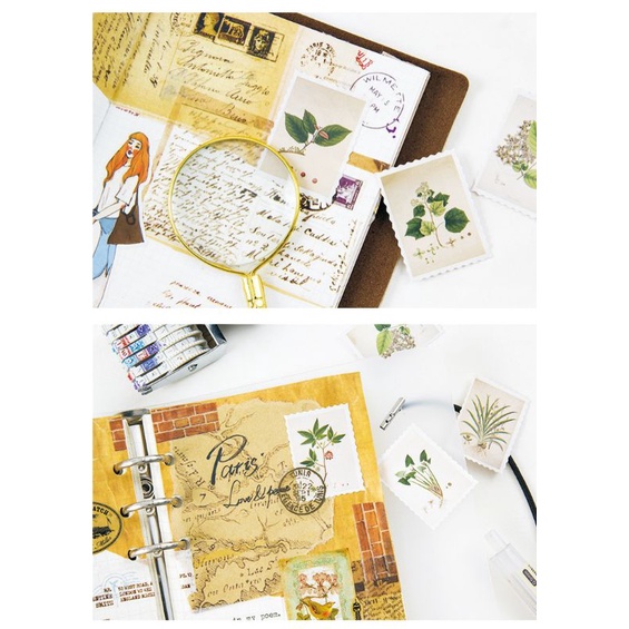 Hộp 45 hình dán sticker trang trí hình lá cây M924