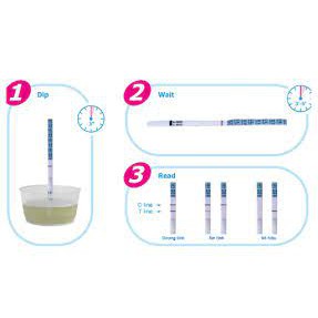 Que Thử Thai QUICKSTRIP Nhanh Gọn, Chính Xác