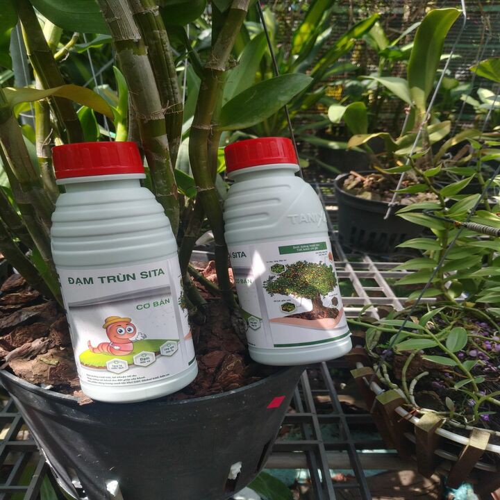 dung dịch trùn quế 500ml