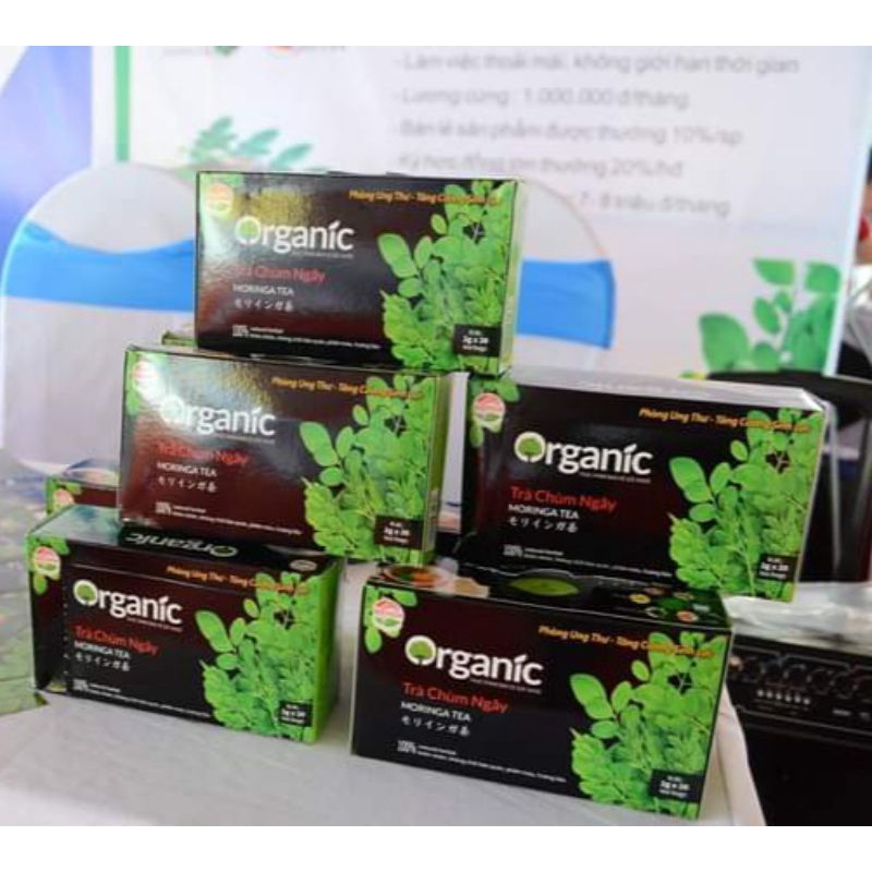 Trà chùm ngây Biotech Foods Việt Nam | BigBuy360 - bigbuy360.vn