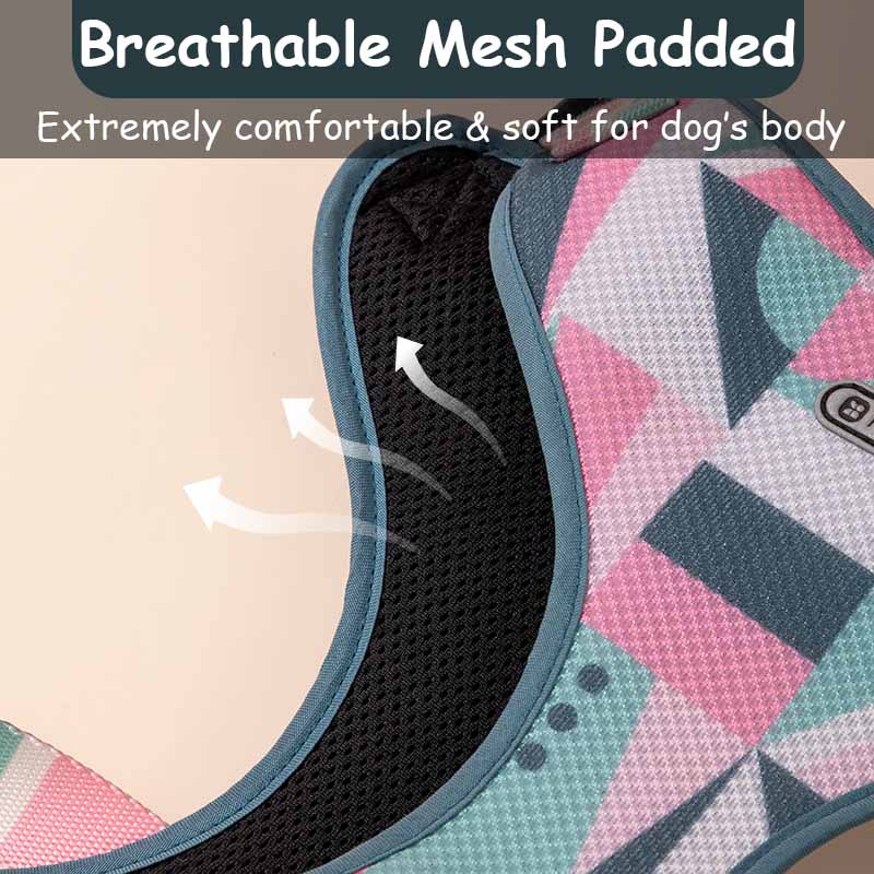 HamshMoc Dây Đai Nylon Cao Cấp Thoáng Khí Có Thể Điều Chỉnh Cho Thú Cưng