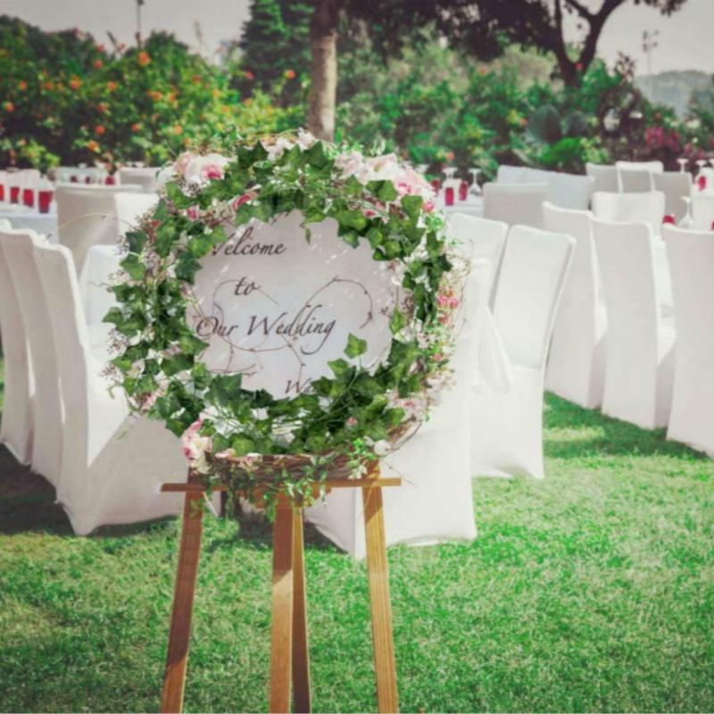 Cây giả - Dây Leo lá nho, trầu bà, thường xuân, rau má, dưa hấu, dài 2.4M