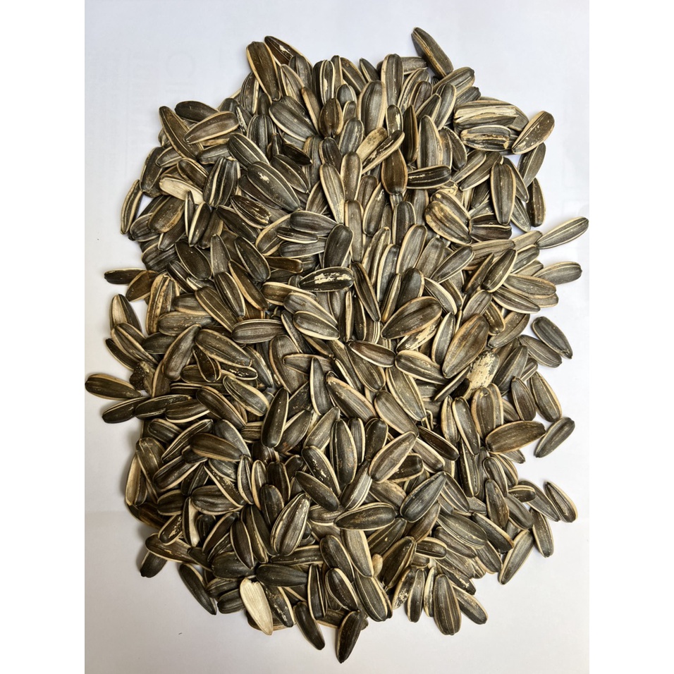 Hạt hướng dương cho hamster, chuột, vẹt, xám gói 500gr