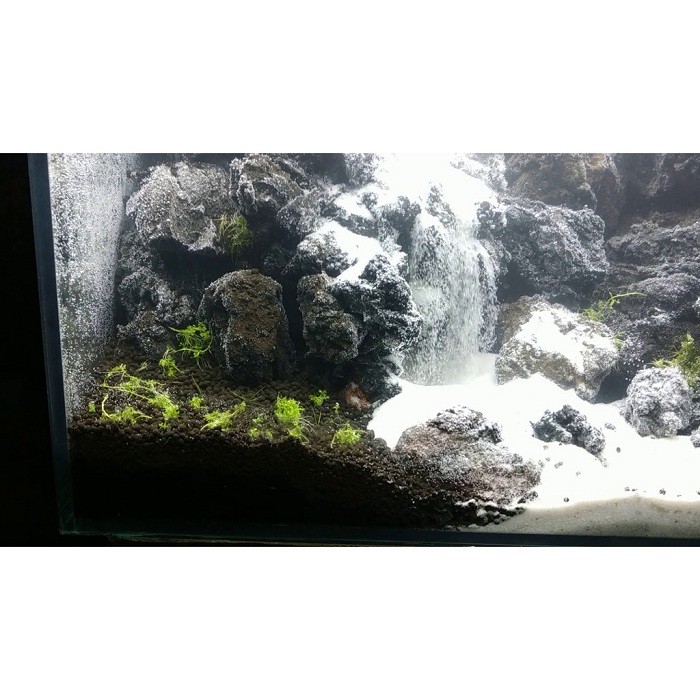 ĐÁ ĐEN GIA LAI TRANG TRÍ SET UP BỂ CÁ THỦY SINH 1KG