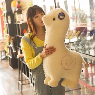 🌟 GẤU BÔNG LẠC ĐÀ ALPACA 🔥
