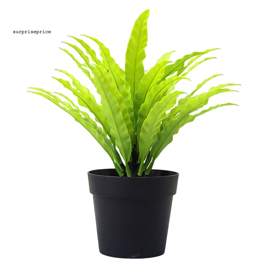 Chậu Cây Bonsai Giả Bằng Nhựa Màu Sắc Tươi Sáng Dùng Trang Trí Bàn Làm Việc