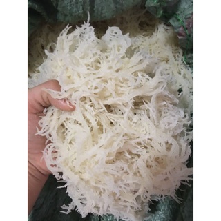 Combo 2kg rong biển trắng loại 1nấu chè sâm bổ lượng seamoss/ irish seamoss