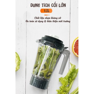 Máy xay sinh tố đa năng Sato MX8205