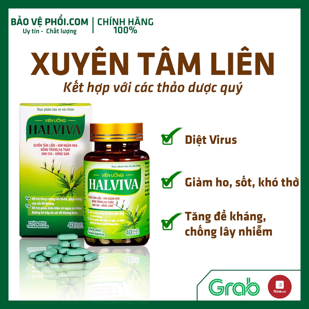 -XUYÊN TÂM LIÊN CHIẾT XUẤT  - TĂNG ĐỀ KHÁNG, BẢO VỆ HÔ HẤP