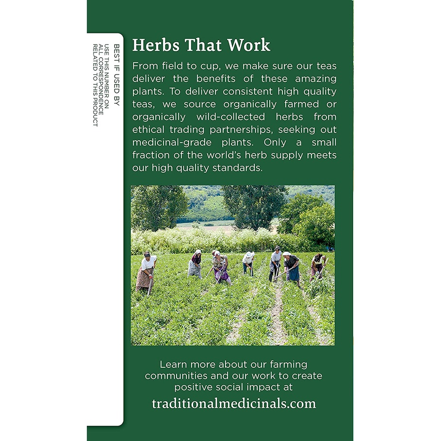 [EXP 2025] Trà Traditional Medicinals Organic Spearmint - Hỗ Trợ Tiêu Hóa Khỏe Mạnh 16 gói
