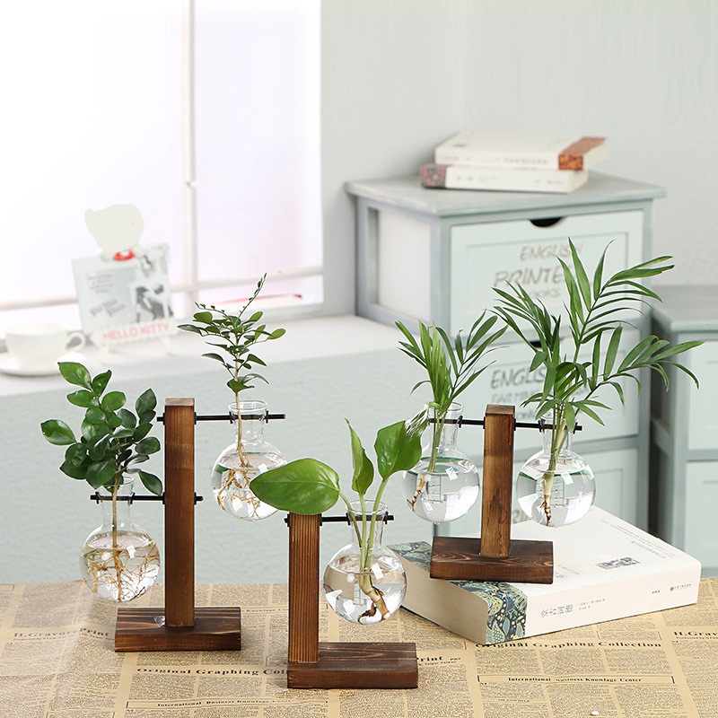 Bình trồng cây thủy canh trong suốt kèm khung gỗ trang trí nội thất phong cách cổ điển