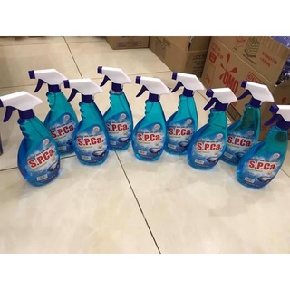 Nước lau kính S.P.CA