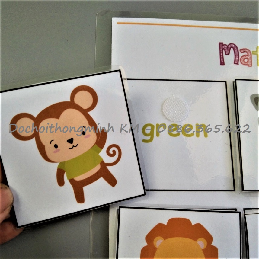 HỌC LIỆU - MATCHING chọn màu áo đúng