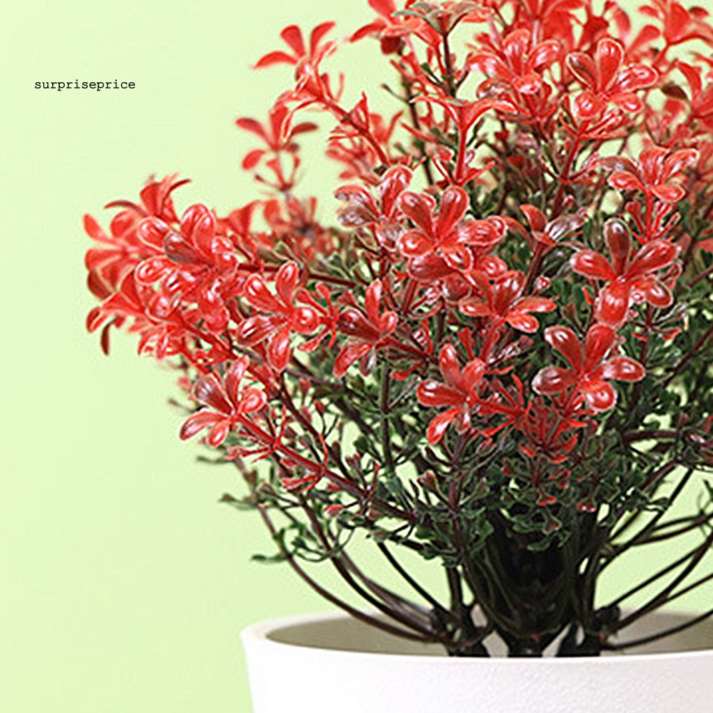 Chậu Cây Bonsai Giả Trang Trí Nhà Cửa