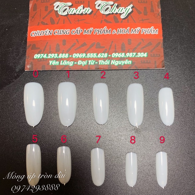 Móng úp form tròn ngắn