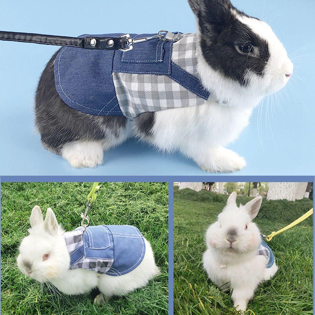 1 Bộ Áo Khoác Denim Kèm Dây Dắt Cho Thỏ Cưng