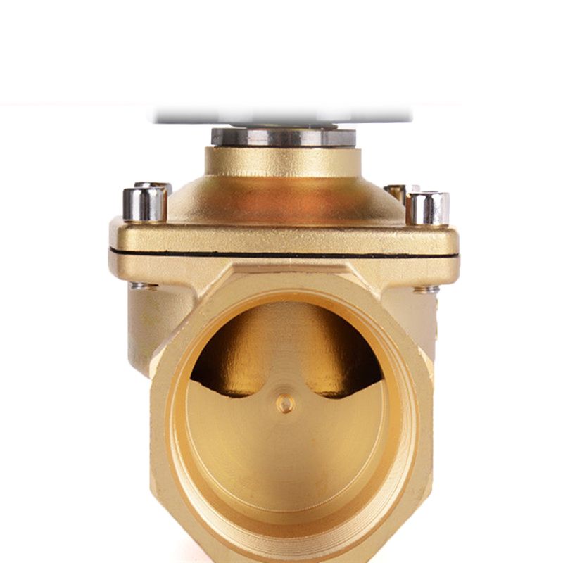 Van Điện Từ Nev 1 / 2 &quot;AC220V 2 Chế Độ Đóng Kín Thông Thường