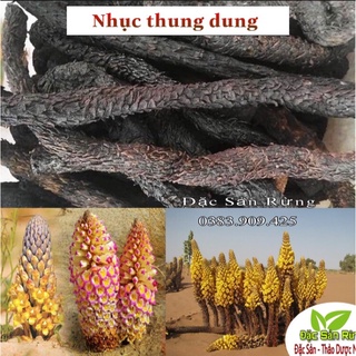 Nhục Thung Dung Khô ( 500gr )- Đặc Sản Rừng