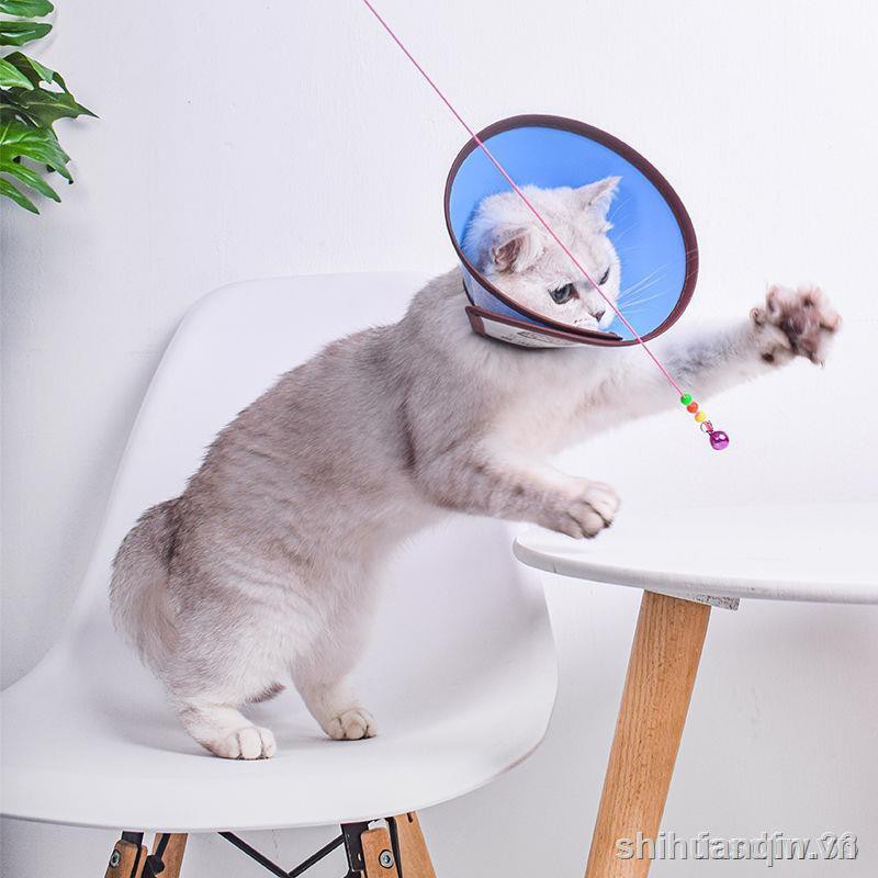 ▦Breakfast under the Excellent Product ⊙¤ Elizabeth Circle Shame Cats and Dogs Anti-licking Cat Collars Large Dogs Sterilization Dog Headgear Collar Elizabeth 1