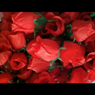 10 bông Hồng nụ đầu