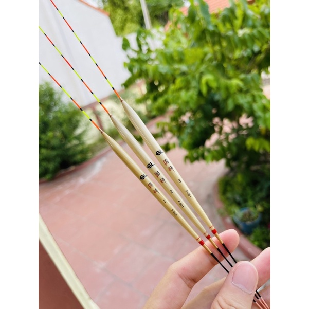 Phao Câu Rô Phi Tăm To