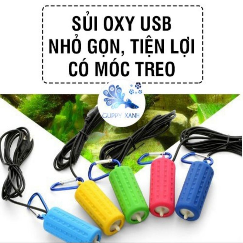 Máy sủi mini siêu êm- Sủi kết nối USB( Loại 1 vòi)