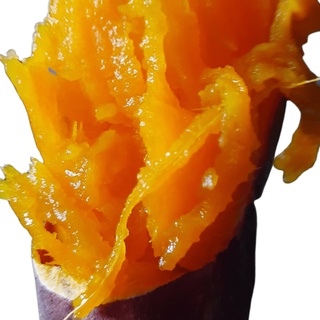 sale rẻ lang mật củ to để nướng, quá ngon