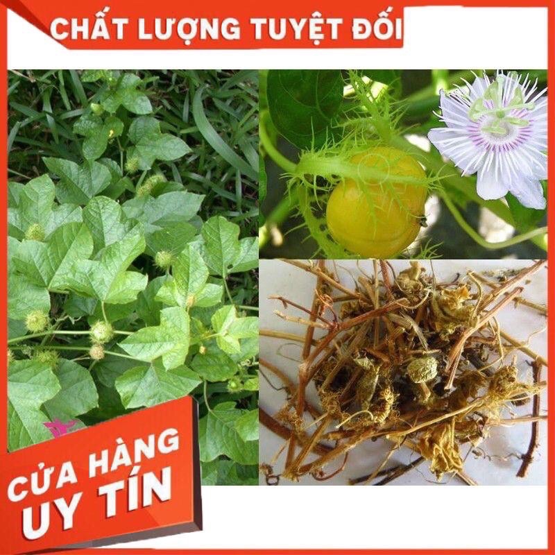 [ Đặc Sản Nghệ An ] Lá Cây Lạc Tiên Khô An Thần Ngủ Ngon | BigBuy360 - bigbuy360.vn