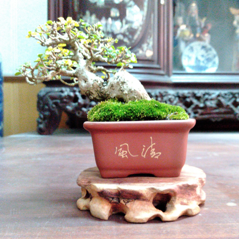 Kệ gỗ dâu tằm tròn đường kính 10cm đặt tượng, đôn kê bonsai mini-lọ hoa-cây cảnh