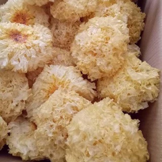 Nấm tuyết 500gr (ngân nhĩ)