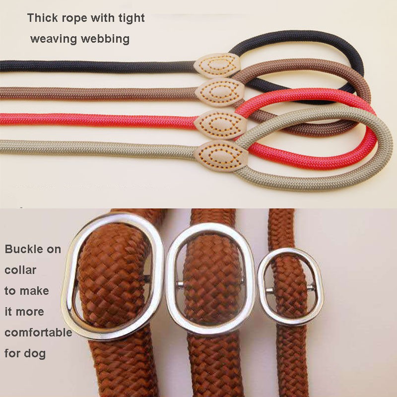 Dây Dắt Thú Cưng Đi Dạo Chất Liệu Da Nylon Chắc Chắn