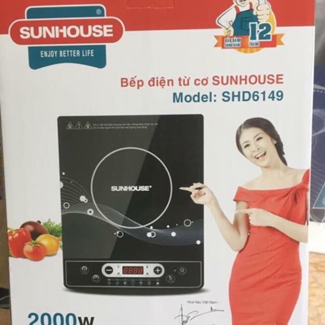 Bếp Từ sunhouse