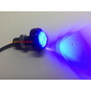 💥 XINHAN HÌNH CÚC ÁO ( 1 CẶP) 💥