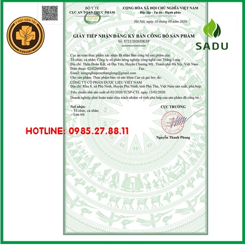 cà gai leo cao sadu hôp 100Gr ⚜️FREESHIP⚜️ hỗ trợ và điều trị các bệnh về gan