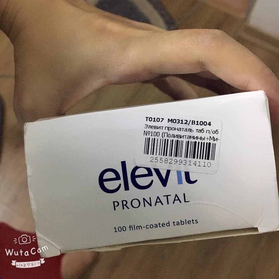 ELEVIT NGA 100V