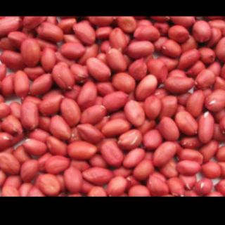 H827. Lạc nhân ( đậu phộng) 100% bóc tay