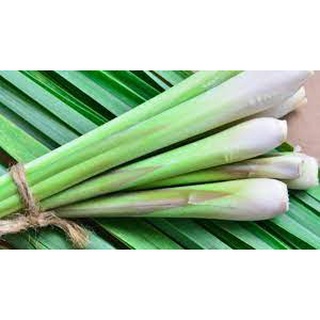 SẢ  CÂY / 0.5 KG