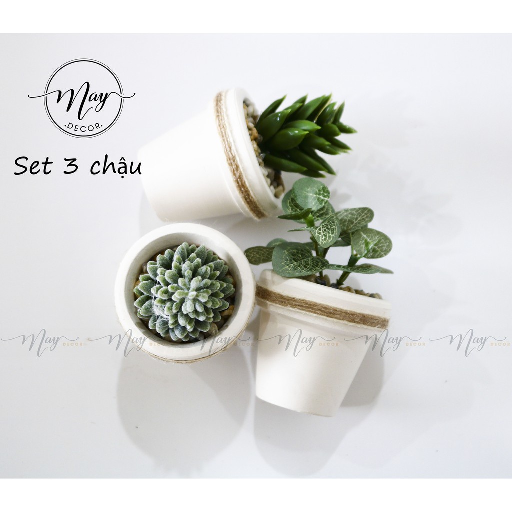 Cây giả - Chậu cây mini size 5cm - trang trí, chụp ảnh, quà tặng ý nghĩa