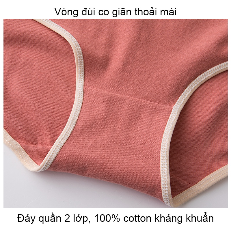 Quần Lót Nữ Cotton Dễ Thương Cute Kháng Khuẩn HAVENA QC07