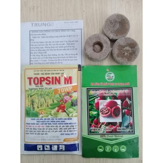 BỘ CÀ CHUA THÂN GỖ