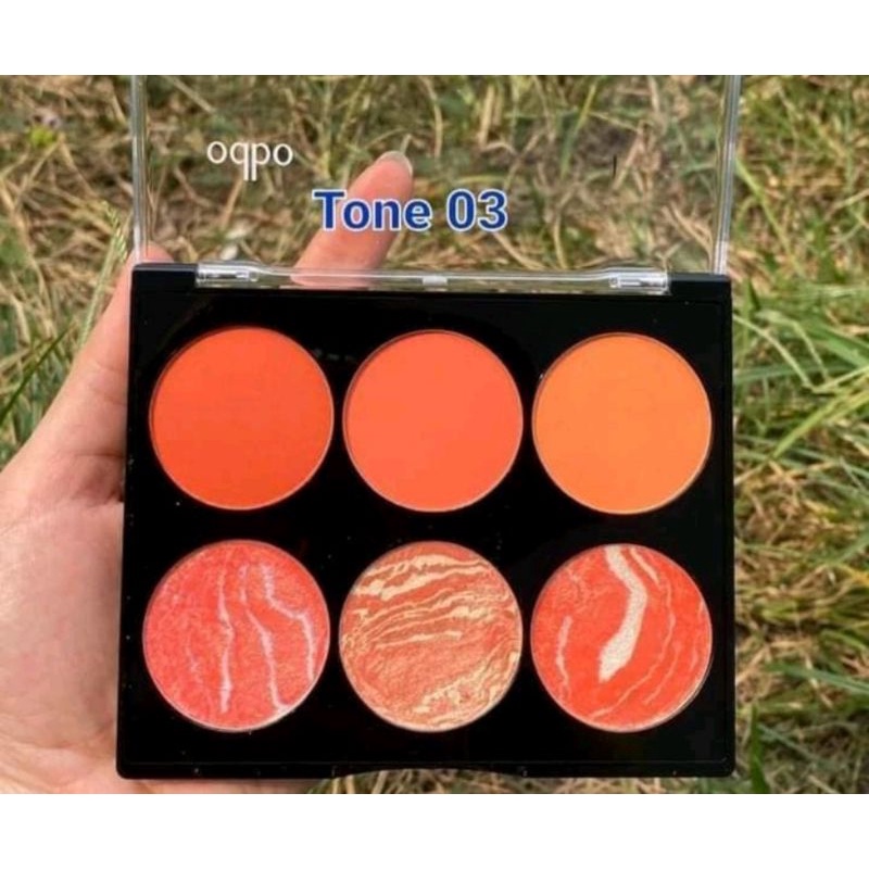 Phấn má hồng 6 ô odbo harmony blusher Od166