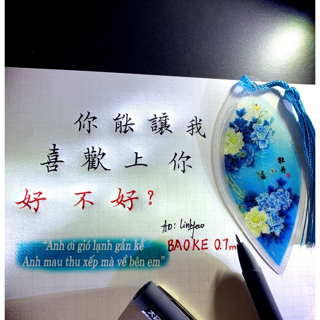 Bút Baoke chuyên dụng 0.7m viết chữ hán Gel pen - BKTL01