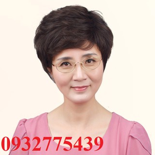 Tóc giả trung niên tặng kèm lưới TG10412