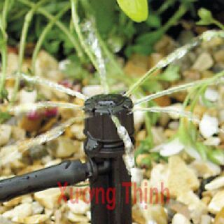 Bộ 20 Béc tưới 8 tia