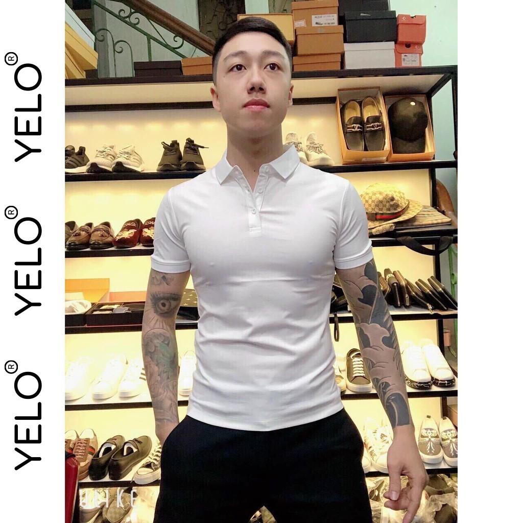 Áo Phông Polo Nam 2021 Ôm Body Màu Trơn Chất Thun Cá Sấu Siêu Bền Mạnh Mẽ Bản Lĩnh YOLO- AC83 | BigBuy360 - bigbuy360.vn