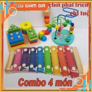 Combo 4 món đồ chơi phát triển trí tuệ