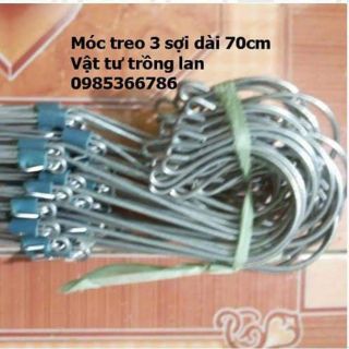 50 móc kẽm 3 sợi dài 70cm treo lan trồng lan dây treo lan