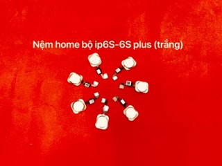 Nút home bộ iphone 6G-6plus-6S-6s plus